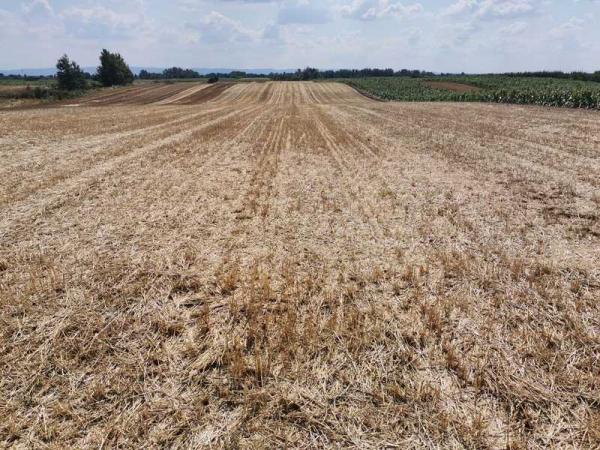 Slika 4 -  Plac na prodaju, Kać, 235.500€